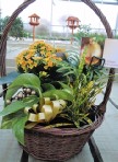 Basket Arrangement